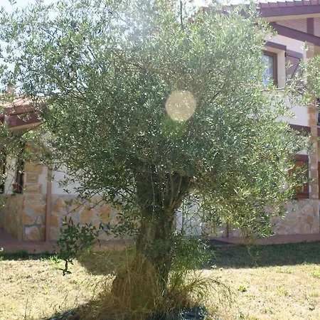 Villasana Naturaleza Cerca De Bilbao *